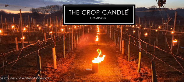 The Crop Candle Co