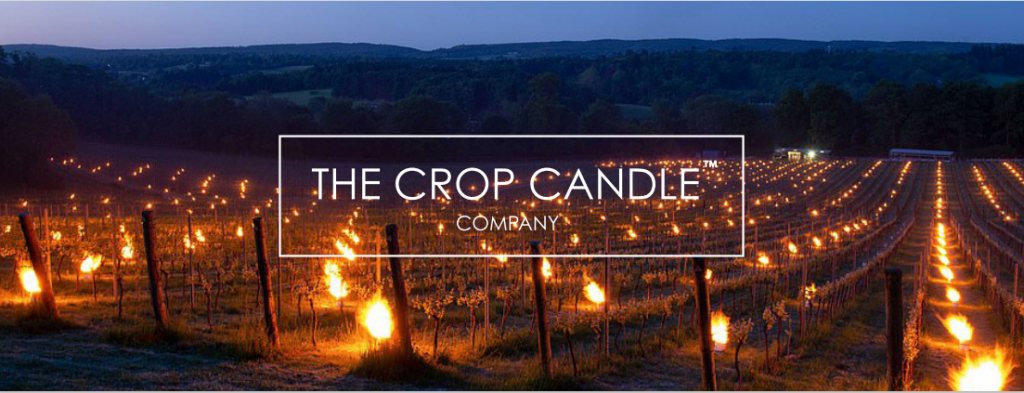 Crop Candle Bougies Frost Candles